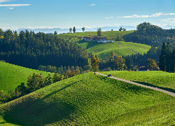 Wzgórza, Drogi, Lasy, Drzewa, Domy, Łąki, Pola