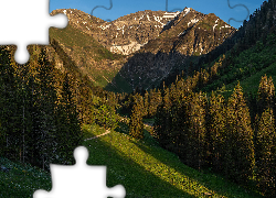 Góry, Las, Drzewa, Świerki, Droga, Dolina