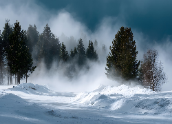 Zima, Droga, Drzewa, Zamieć, Grafika AI