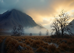 Jesień, Drzewa, Kępki, Traw, Mokradła, Mgła, Góra