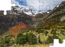 Góry, Dolina, Drzewa, Krzewy