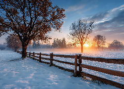 Zima, Ogrodzenie, Śnieg, Drzewa, Chmury, Zachód słońca