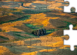 Wzgórza, Drzewa, Pola, Steptoe Butte State Park, Region Palouse, Stan Waszyngton, Stany Zjednoczone