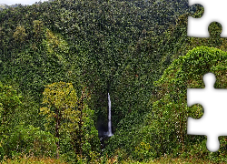 Wodospad, Las, Zielone, Drzewa