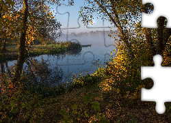 Jezioro, Mgła, Drzewa, Rośliny