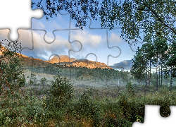 Góry, Drzewa, Krzewy, Trawy