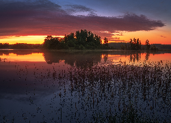 Zachód słońca, Drzewa, Jezioro, Trawa