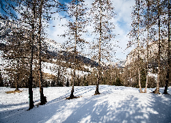 Śnieg, Drzewa, Góry, Zima