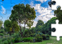 Park, Drzewa, Kwiaty, Krzewy