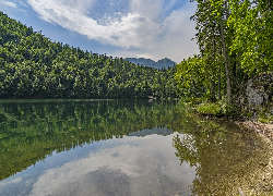 Jezioro, Toplitzsee, Brzeg, Las, Drzewa, Góry, Alpy, Odbicie, Chmury, Austria
