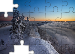 Zima, Wzgórze, Drzewa, Śnieg, Mgła