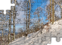 Zima, Drzewa, Skarpa, Śnieg