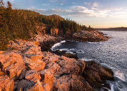 Morze, Skały, Drzewa, Park Narodowy Acadia, Stan, Maine, Stany Zjednoczone