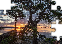 Jezioro, Lake Inari, Drzewa, Zachód słońca, Chmury, Laponia, Finlandia