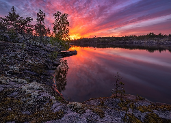 Rosja, Karelia, Jezioro, Ładoga, Skały, Drzewa, Zachód słońca