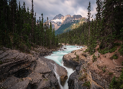 Rzeka, Mistaya River, Skały, Las, Drzewa, Góry, Canadian Rockies, Góra, Mount Sarbach, Park Narodowy Banff, Alberta, Kanada