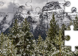 Góry, Drzewa, Śnieg, Mgła