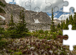 Skaliste, Góry, Kamienie, Drzewa, Chmury, Roślinność