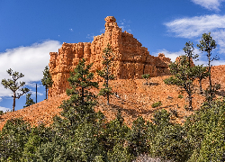 Drzewa, Skały, Park Narodowy Bryce Canyon, Stan Utah, Stany Zjednoczone