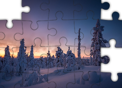 Finlandia, Laponia, Wzgórze Kuertunturi, Zima, Ośnieżone, Drzewa, Zachód słońca