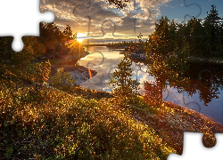 Jesień, Jezioro Ładoga, Zachód słońca, Drzewa, Krzewy, Karelia, Rosja