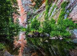 Stany Zjednoczone, Arizona, Sedona, Skały, Wąwóz, Oak Creek, Rzeka, Drzewa, Roślinność