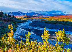 Park Narodowy Denali, Góry, Rzeka, Savage River, Drzewa, Roślinność, Jesień, Niebo, Alaska, Stany Zjednoczone