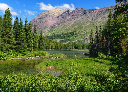 Stany Zjednoczone, Montana, Park Narodowy Glacier, Góry Skaliste, Jezioro, Swiftcurrent Lake, Drzewa, Trawa