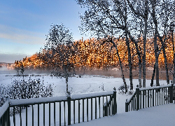 Zima, Drzewa, Balustrada, Jezioro