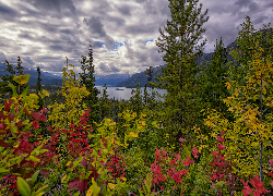 Jesień, Kolorowe, Drzewa, Liście, Jezioro, Muncho Lake, Góry, Kanada