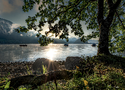 Drzewo, Jezioro Wolfgang, Wschód słońca, Góry, Austria