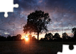 Drzewa, Łąka, Chmury, Zachód słońca