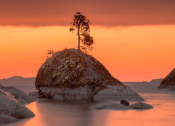 Rosja, Karelia, Jezioro, Ładoga, Skała, Drzewo