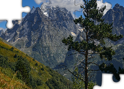Góry, Drzewo, Zbocze, Krzewy