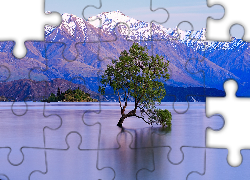 Jezioro Wanaka, Nowa Zelandia, Góry, Śnieg, Drzewo