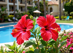 Hibiskus, Dwa, Czerwone, Kwiaty, Grafika AI