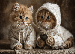 Dwa, Koty, Ubranka, Grafika AI