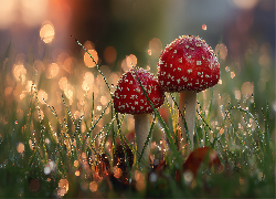 Muchomory, Czerwone, Grzyby, Trawa, Bokeh, Grafika AI