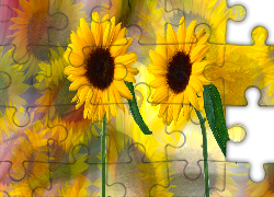Słoneczniki ozdobne, Grafika