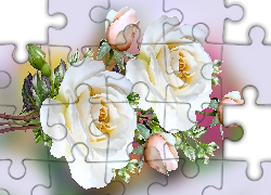 Kwiaty, Białe, Dwie, Róże, Pąki, Grafika