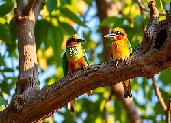 Żołny, Ptaki, Konar, Grafika AI