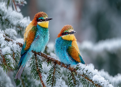 Dwie, Żołny, Ośnieżona, Gałązka, Grafika AI