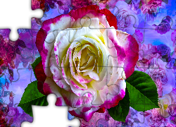 Kwiat, Barwna, Róża, Grafika