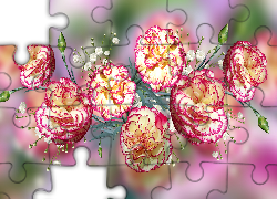 Kwiaty, Goździki, Grafika 2D