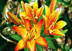 Kwiaty, Dwukolorowe, Lilie, Grafika 2D