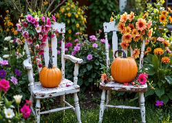 Dwa, Krzesła, Dynie, Kwiaty