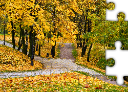 Jesień, park, drzewa, liście, trawa, droga