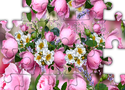 Kwiaty, Różowe, Róże, Dzikie róże, Grafika