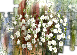 Kwiaty, Białe, Dzwonki, Grafika