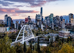 Wieżowce, Most, Rzeka Saskatchewan Północny, Drzewa, Edmonton, Prowincja Alberta, Kanada